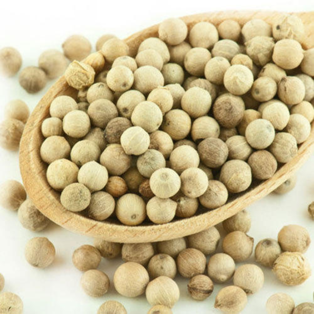 Organic White Pepper Seeds