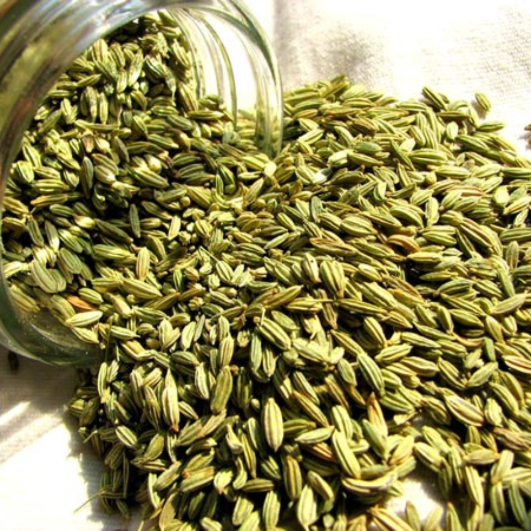 Organic Fennel Seeds