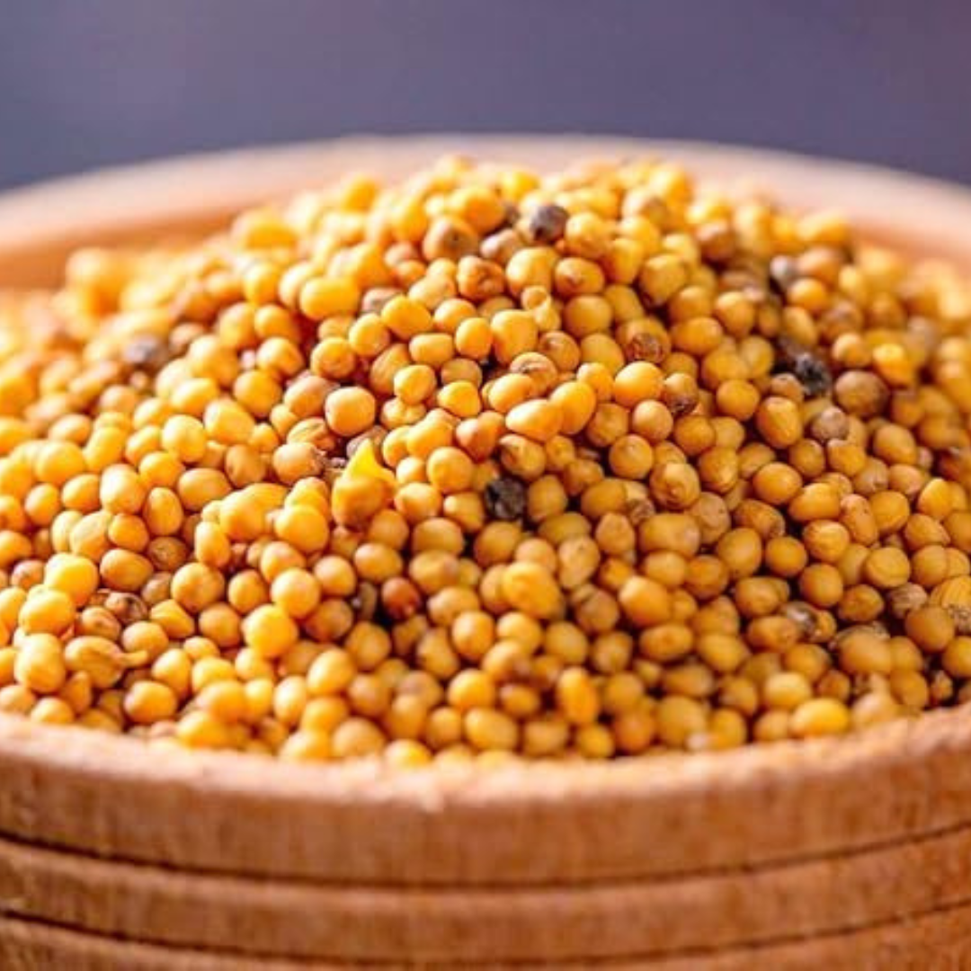 Organic Yellow Mustard Seed