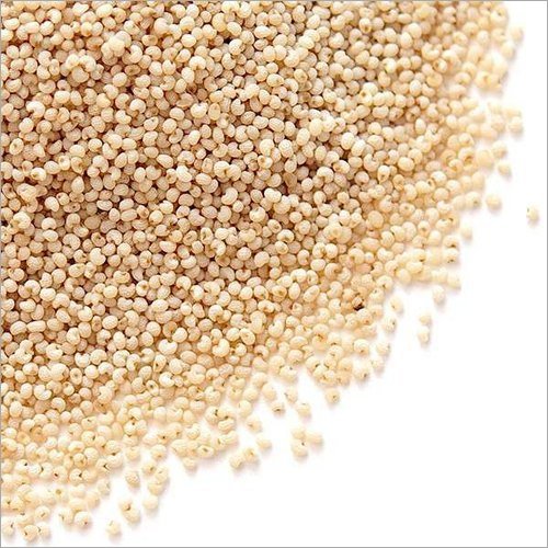 Organic Brown Poppy Seeds